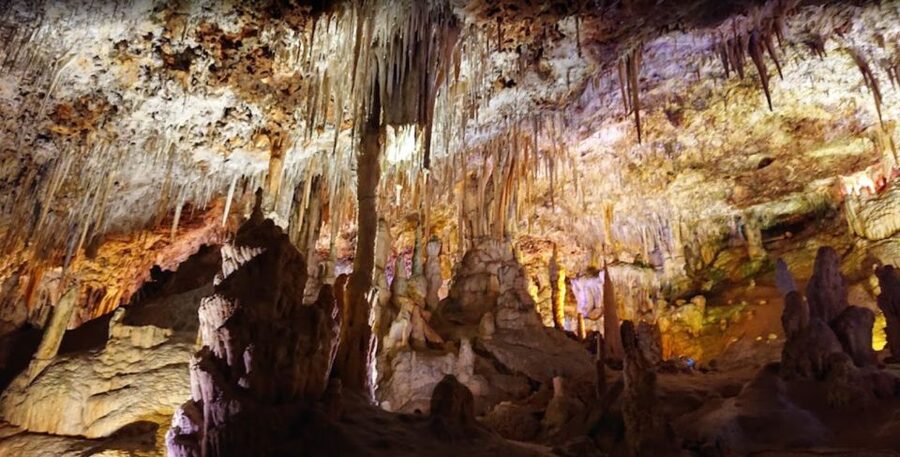Mallorca: Day Trip to Caves of Hams & Optional Dinosaurland - Price and overall value at $47