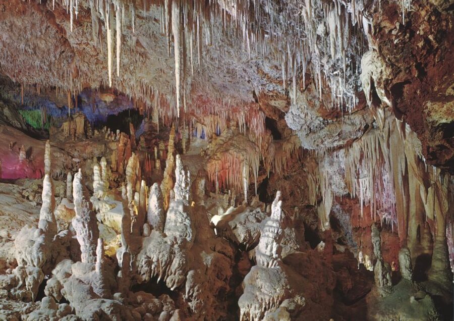 Mallorca: Day Trip to Caves of Hams & Optional Dinosaurland - Who will enjoy this outing most?