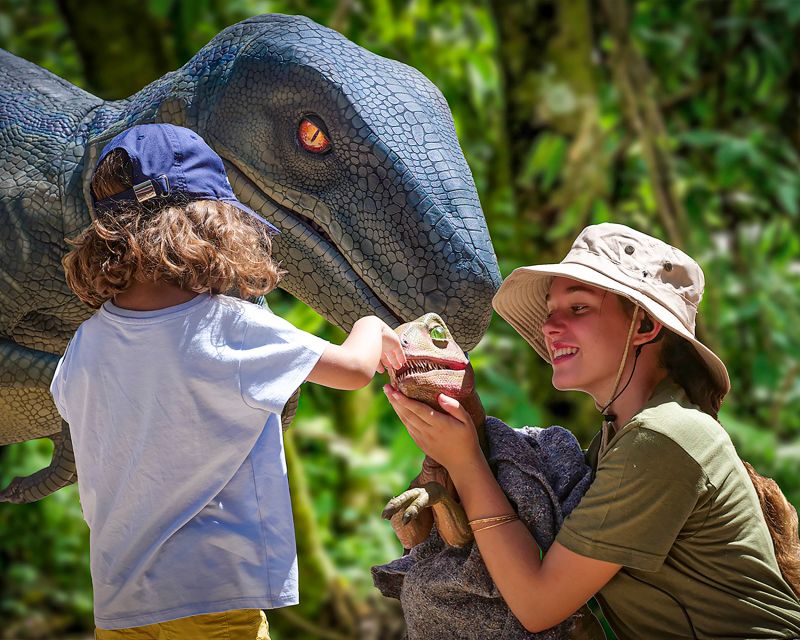 Mallorca: Dinosaurland and Caves of Hams Combined Ticket - Who should book this experience?