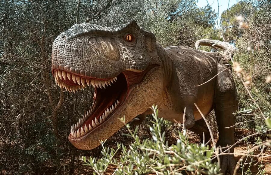 Mallorca: Dinosaurland Park, Hams Caves & Porto Cristo Tour - Porto Cristo Adds Water and Fresh Air