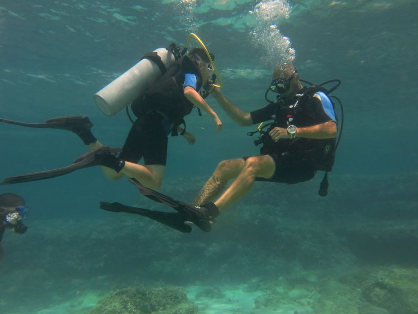 Mallorca: Discover Scuba Diving for Beginners - Calm shallow water is where confidence grows
