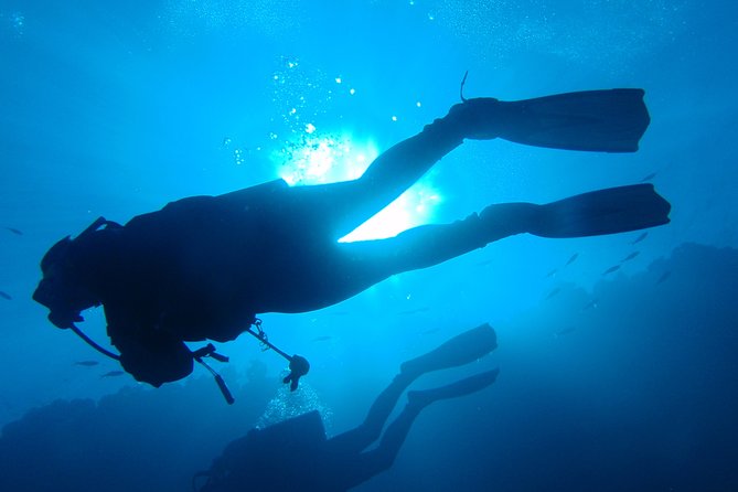 Mallorca: Discover Scuba Diving from the boat - Equipment, insurance, and the main concern