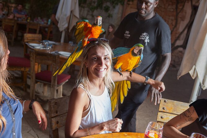 Mallorca Evening Tour: Horseback Riding, Dinner and Dance - The animal park and ranch setting
