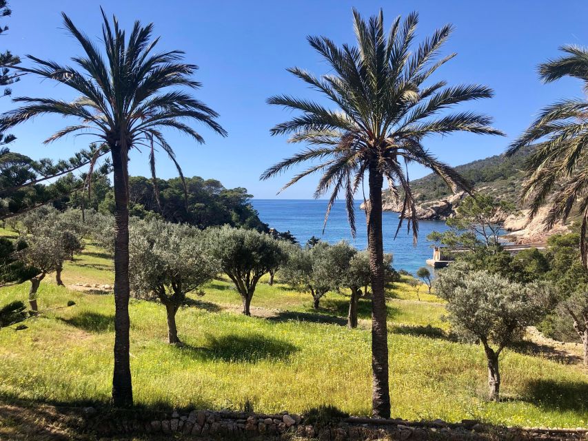 Mallorca: Explore the Island Dragonera with the kayak - A former pirate island with a quiet natural harbour