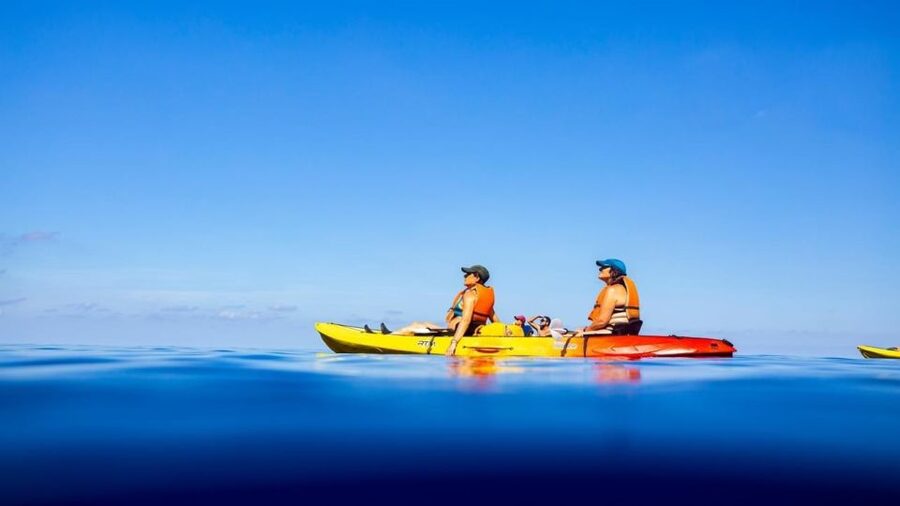 Mallorca: Explore the Island Dragonera with the kayak - Practical advice before you go