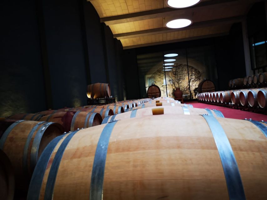 Mallorca: Full-Day Winery Small Group Tour - Key points to know before booking