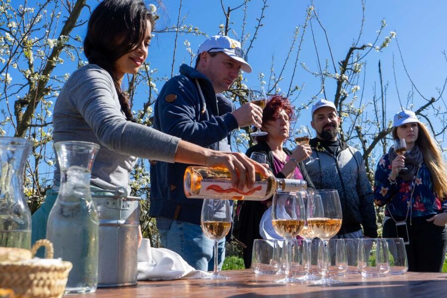 Mallorca: Full-Day Winery Small Group Tour - Who will enjoy this tour most