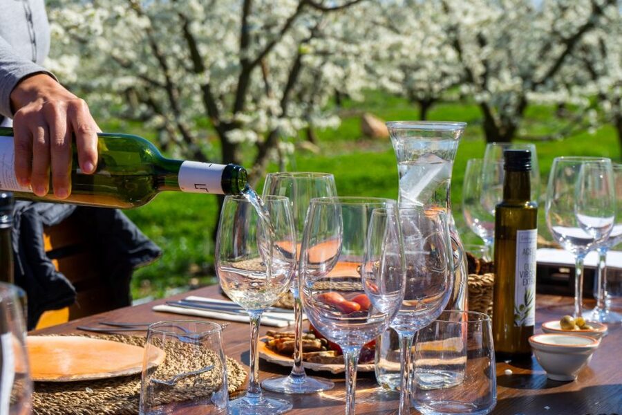 Mallorca: Full-Day Winery Small Group Tour - The first cellar sets the tone