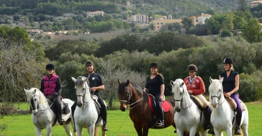 Mallorca: Guided Horseriding Tour of Randa Valley - Meeting the Horses at Mallorca Horses