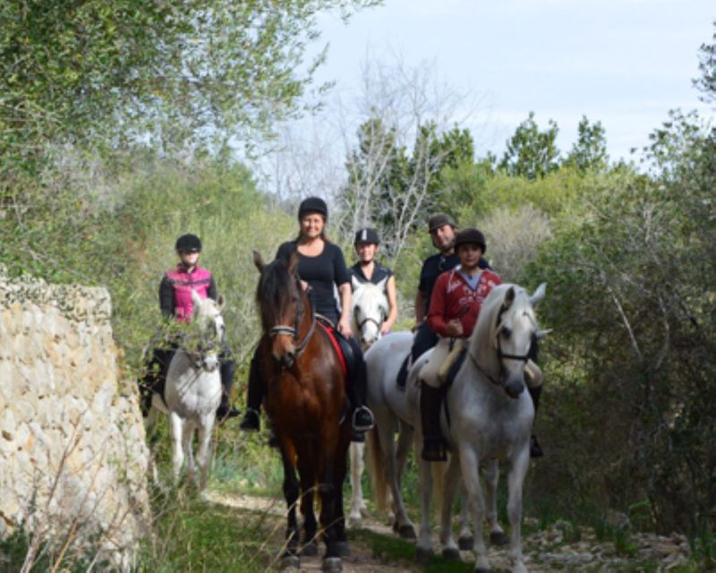 Mallorca: Guided Horseriding Tour of Randa Valley - Why the Andalusian Horse Matters Here