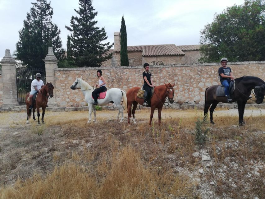 Mallorca: Guided Horseriding Tour of Randa Valley - A Ride for Beginners, With Options for Experienced Riders