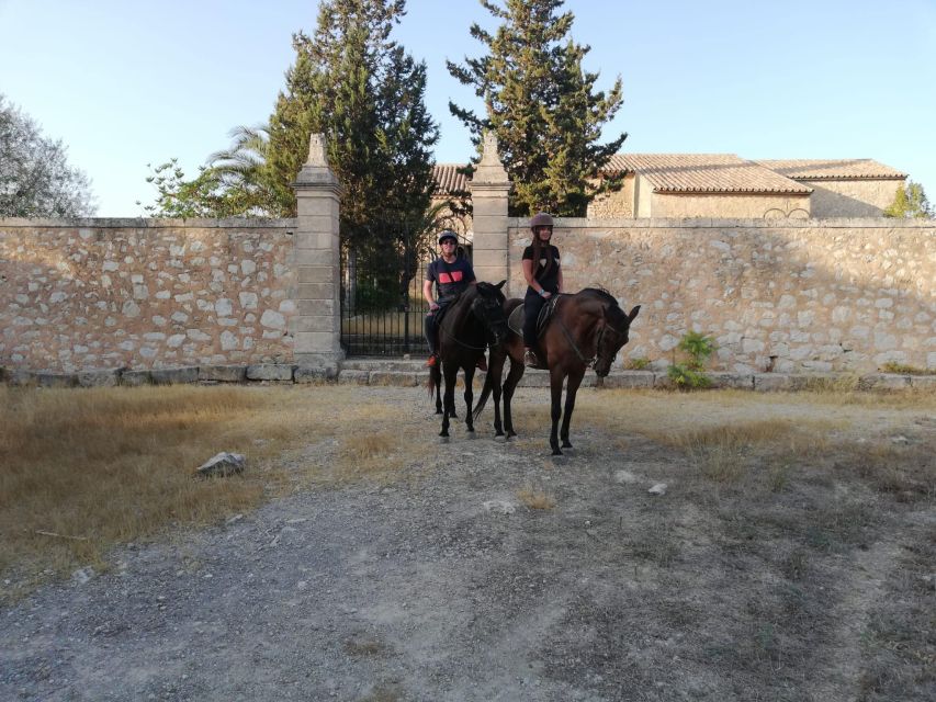 Mallorca: Guided Horseriding Tour of Randa Valley - What the Three Hours Include
