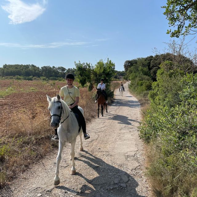 Mallorca: Guided Horseriding Tour of Randa Valley - The Post-Ride Grooming Session