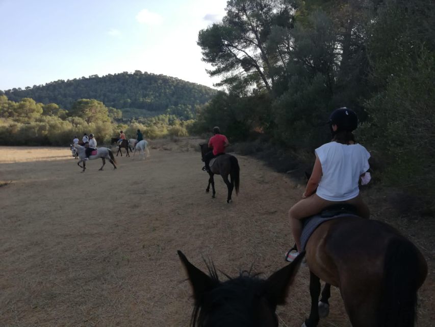 Mallorca: Guided Horseriding Tour of Randa Valley - Languages, Group Size, and Practical Comfort