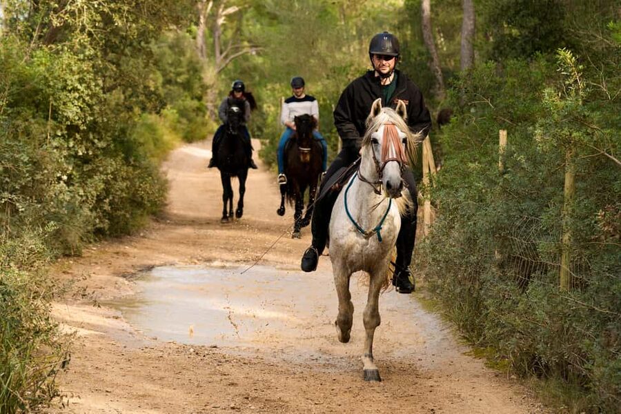 Mallorca: Guided Horseriding Tour of Randa Valley - When the Faster Riding Is Worth Expecting