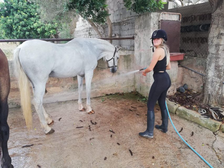 Mallorca: Guided Horseriding Tour of Randa Valley - Who Will Enjoy This Most