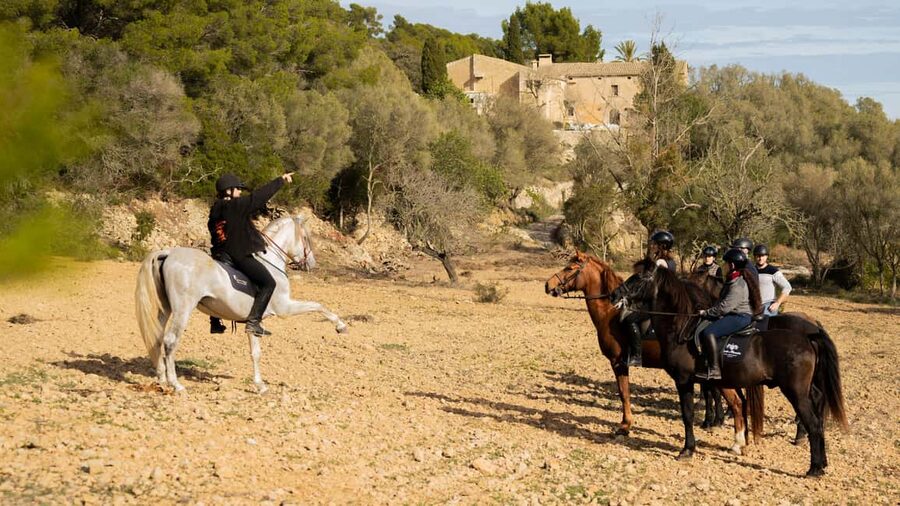 Mallorca: Guided Horseriding Tour of Randa Valley - Into the Valleys, Meadows, and Forests
