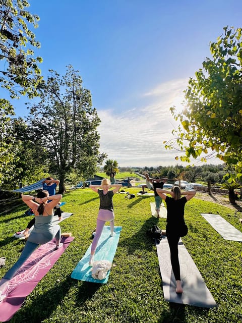 Mallorca: Holistic Private Yoga and Meditation Retreat - Yoga, Breathwork, and Meditation in One Session
