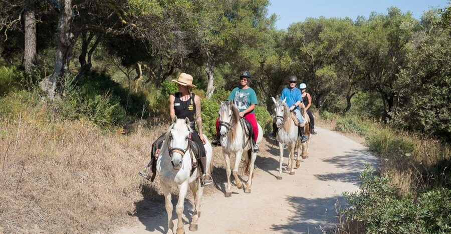 Mallorca: Horseback Riding Excursion and Wine Tasting - Choosing a horse and getting ready to ride