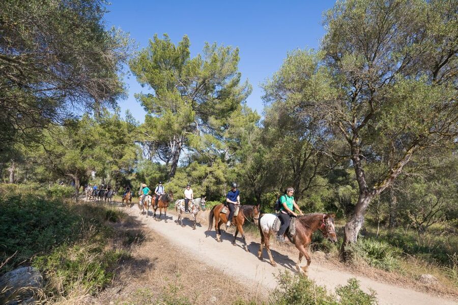 Mallorca: Horseback Riding Excursion and Wine Tasting - A practical look at the value