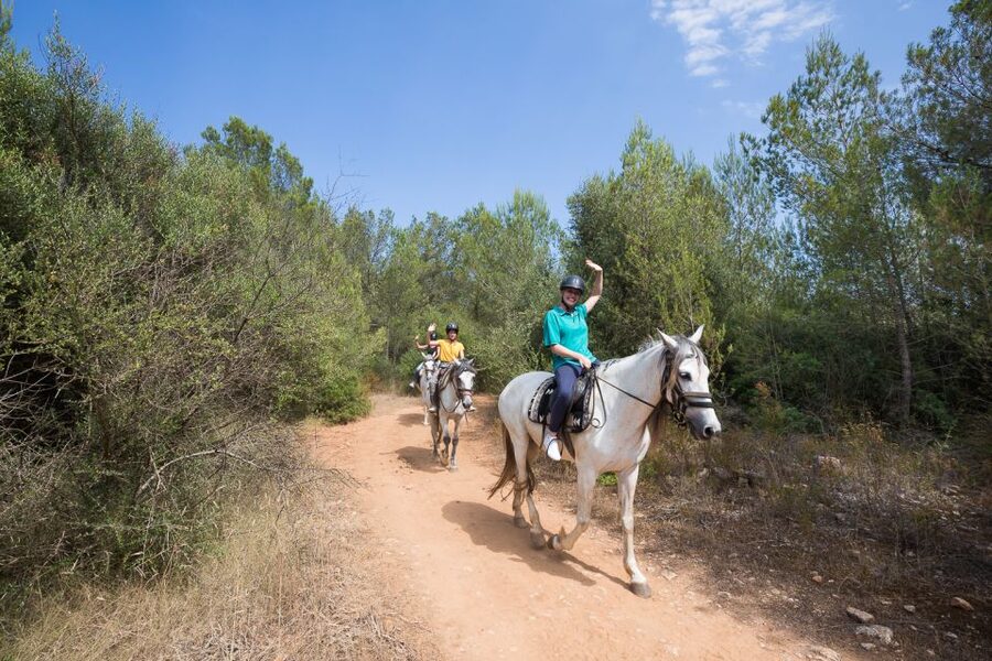 Mallorca: Horseback Riding Excursion and Wine Tasting - Who should book this Mallorca activity