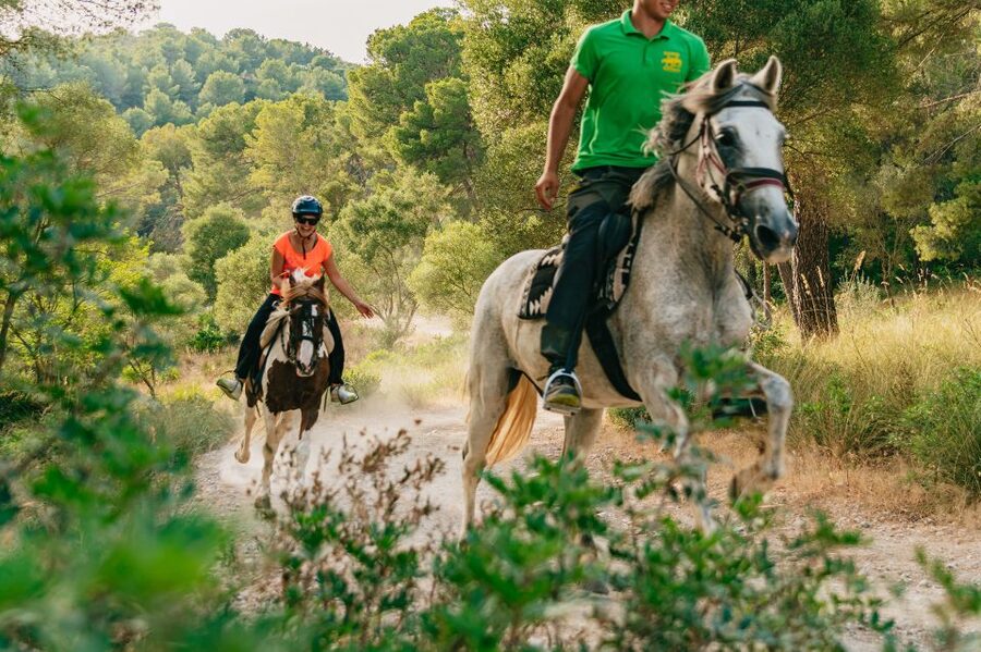 Mallorca: Horseback Riding Experience with Food Options - The one-hour route through trees and up the mountain