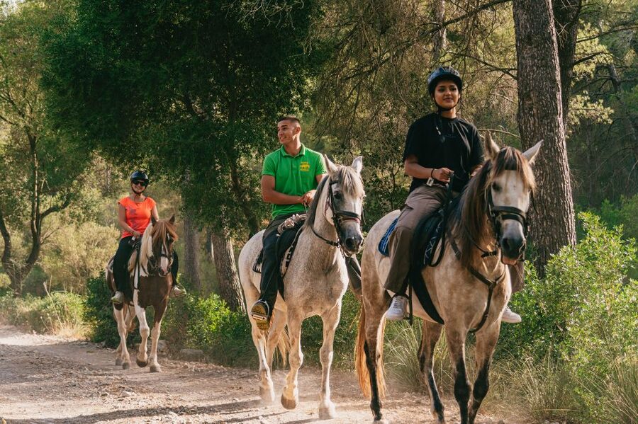 Mallorca: Horseback Riding Experience with Food Options - The two-hour ride and views across Alcudia Bay