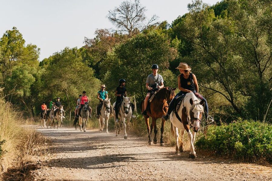 Mallorca: Horseback Riding Experience with Food Options - How the activity works for complete beginners