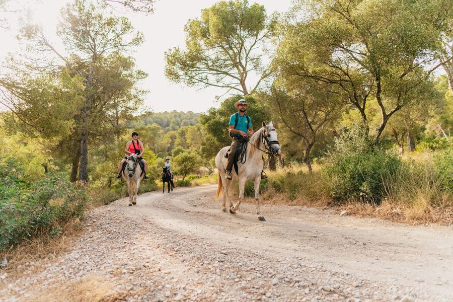 Mallorca: Horseback Riding Experience with Food Options - Food choices after the ride