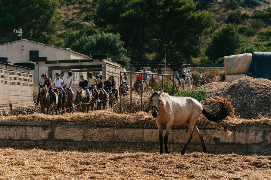 Mallorca: Horseback Riding Experience with Food Options - Is the $42 price good value?