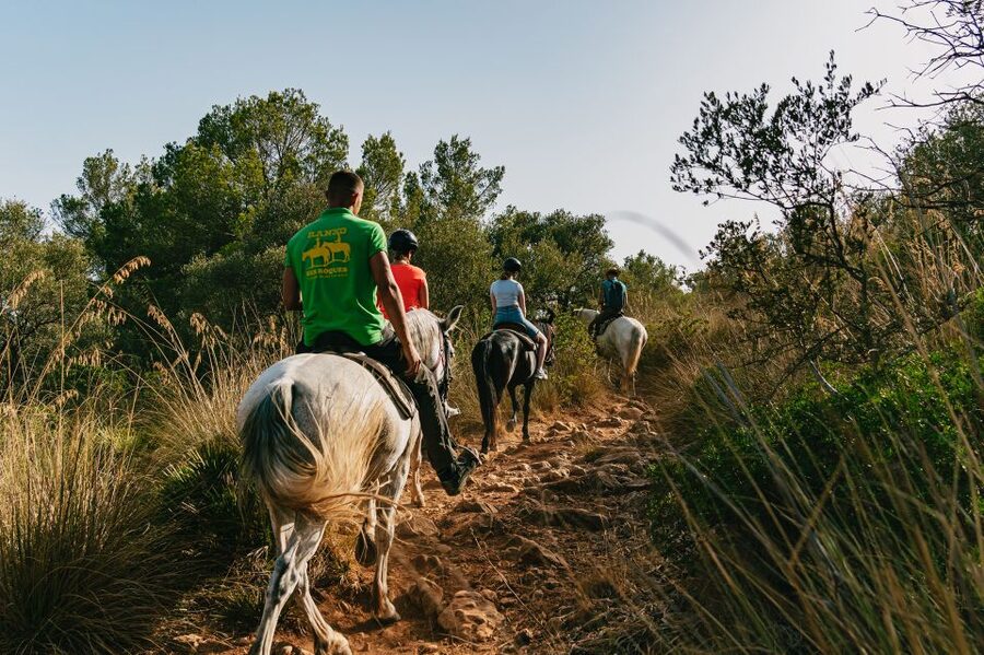 Mallorca: Horseback Riding Experience with Food Options - What to wear and what to expect physically