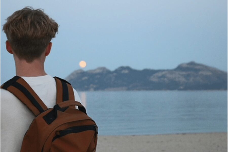 Mallorca: Instafamous Tour of Palma and North coast - Port de Pollença and the northern villages