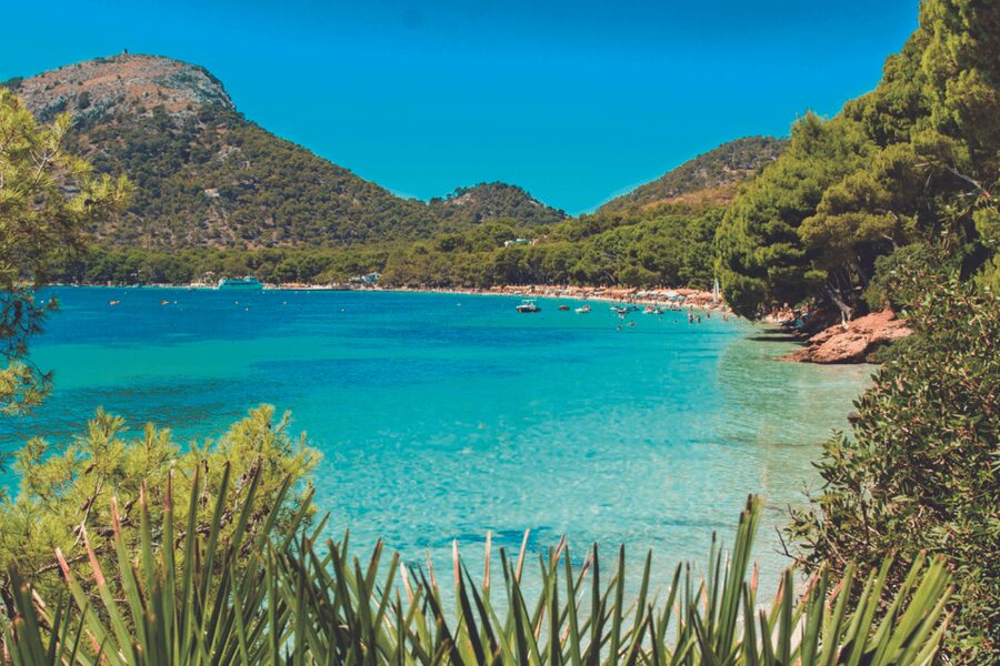 Mallorca: Instafamous Tour of Palma and North coast - A mountain tasting with lunch included