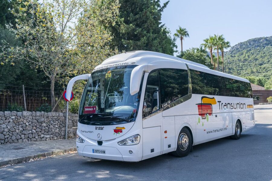 Mallorca: Island Tour with Boat, Tram & Train from the South - Who should book this island tour?