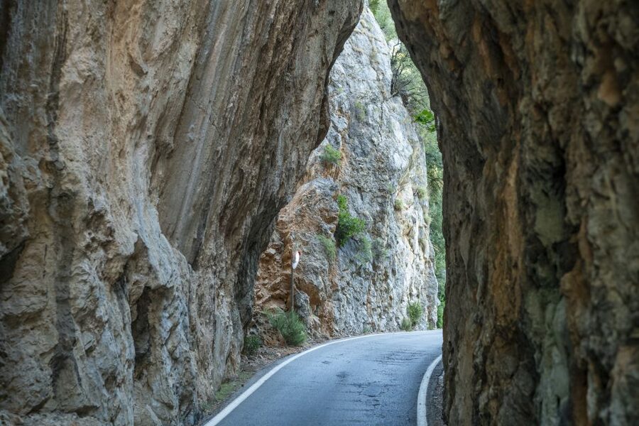 Mallorca: Island Tour with Boat, Tram & Train from the South - Sóller, the tram, and the wooden train