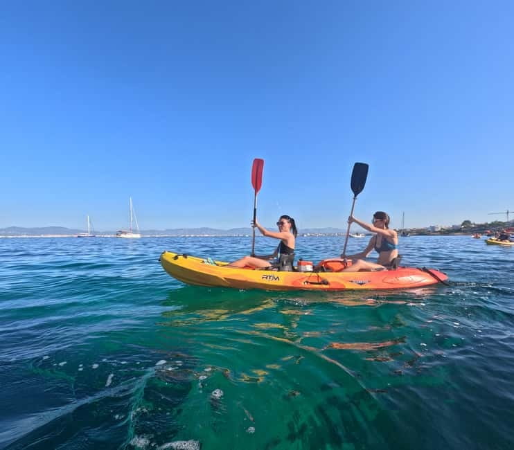 Mallorca: Kayak Rental - Starting at Can Pastilla with a simple plan
