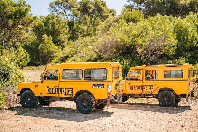 Mallorca: Kayaking, Sea Cave, Cliff Jumping & Snorkel Tour - Why this three-hour challenge works so well