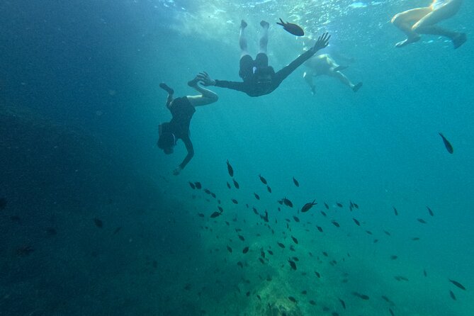 Mallorca: Kayaking, Sea Cave, Cliff Jumping & Snorkel Tour - Coastal trekking and the optional cliff jump