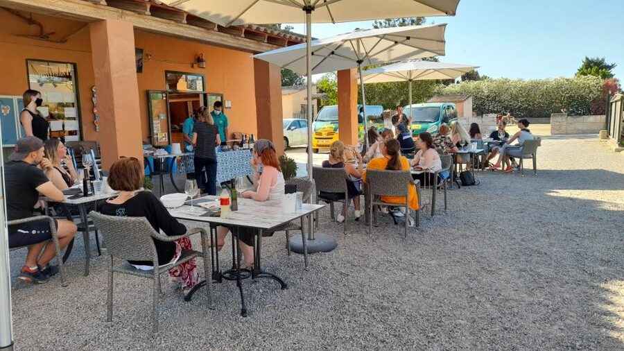 Mallorca: Local Wines & Foods Tasting - The nearly lost red wine with carob goat cheese