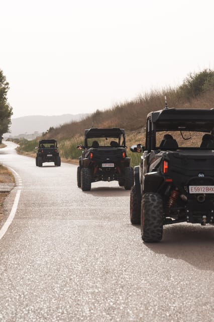 Mallorca: Mountain Buggy Adventure with Secret Coves Tour - Families, drivers, and practical limits