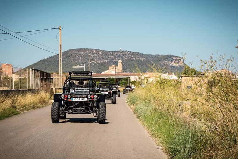 Mallorca: On Road Buggy Tour + Panorama View + Snorkeling - Who will enjoy this experience most