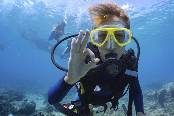 Mallorca: Open Water Diver Course - From online lessons to your first underwater skills
