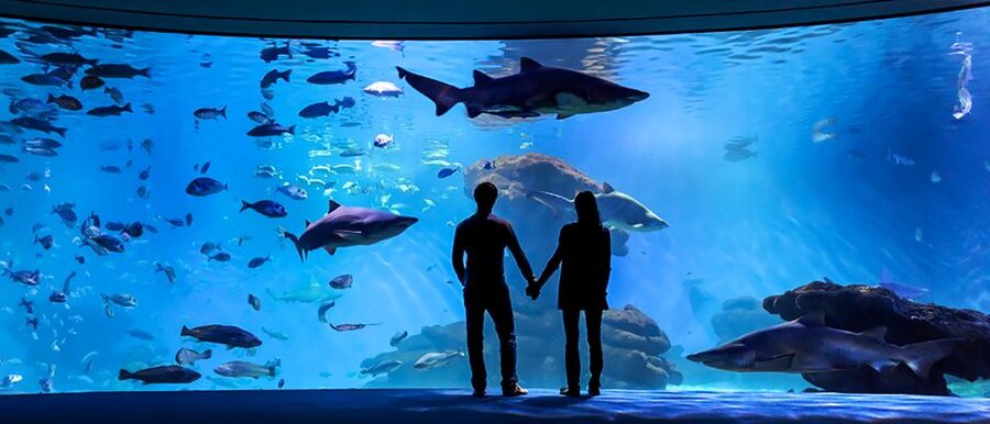 Mallorca: Palma Aquarium Entry Ticket w/ Optional 3D Cinema - Practical ways to plan your visit