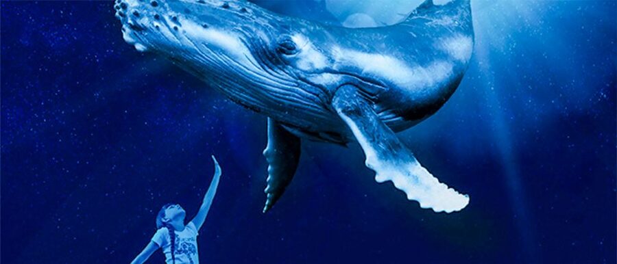 Mallorca: Palma Aquarium Entry Ticket w/ Optional 3D Cinema - What the Palma Aquarium visit is really like