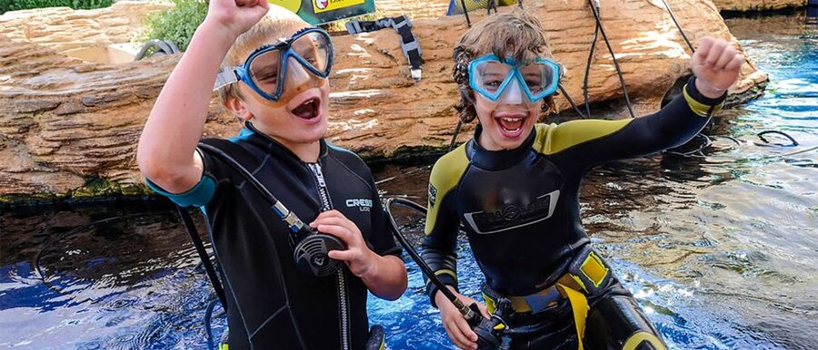 Mallorca: Palma Aquarium Entry Ticket w/ Optional 3D Cinema - Eight habitats, from the Mediterranean to the Jungle