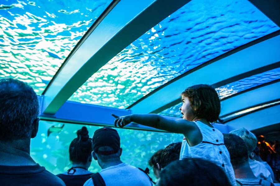 Mallorca: Palma Aquarium Entry Ticket w/ Optional 3D Cinema - Feedings and talks make the timing matter