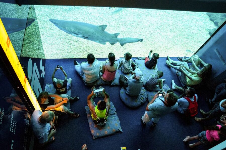 Mallorca: Palma Aquarium Entry Ticket w/ Optional 3D Cinema - Is the Aquadome 3D cinema worth adding?