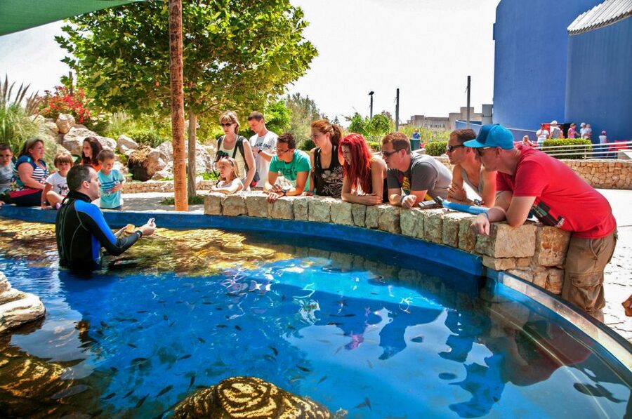 Mallorca: Palma Aquarium Entry Ticket w/ Optional 3D Cinema - How much time should you allow?