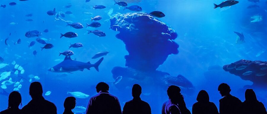 Mallorca: Palma Aquarium Entry Ticket w/ Optional 3D Cinema - Who will enjoy Palma Aquarium most?