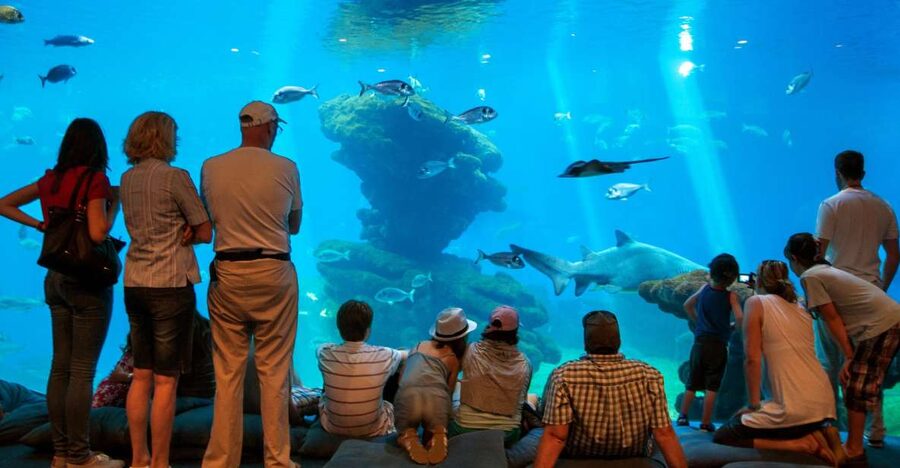 Mallorca: Palma Aquarium Tickets with Transfer - Why Palma Aquarium Works as a Full-Day Outing
